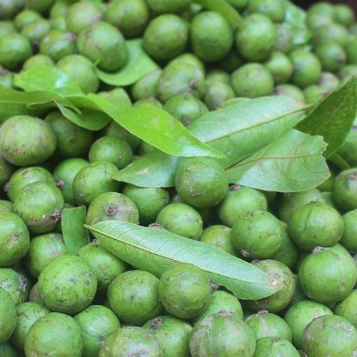 Rau củ quả