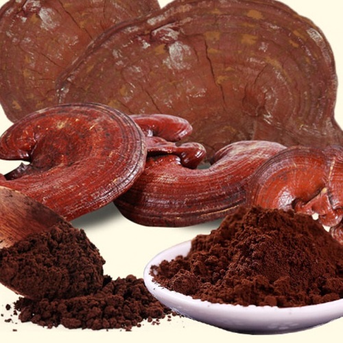 Bào tử nấm linh chi