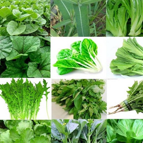 Rau tươi các loại