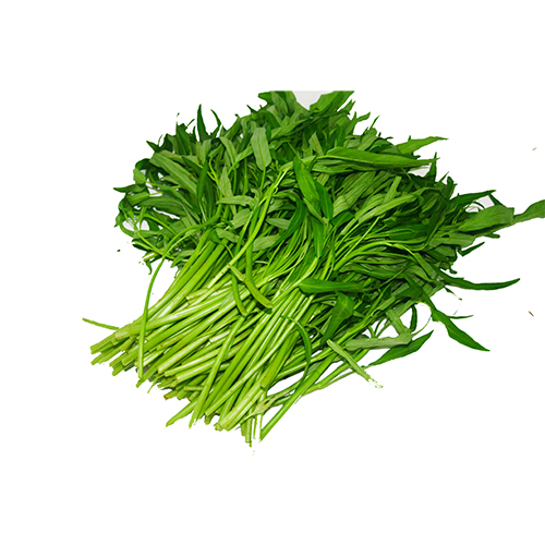 Rau muống