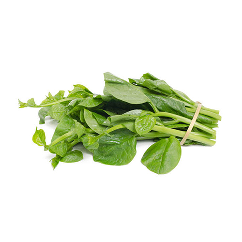 Rau mồng tơi