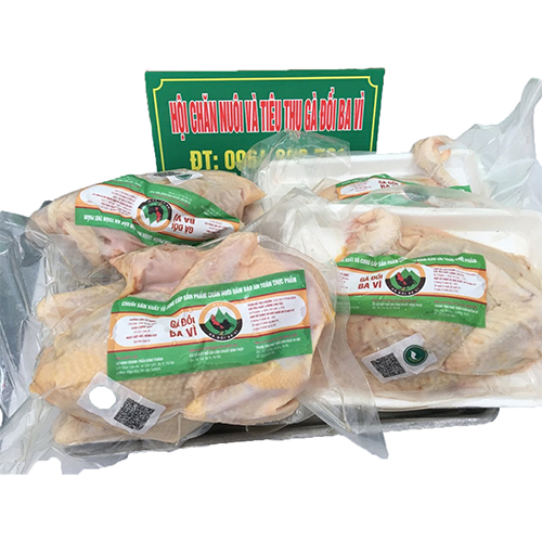 Gà đồi Ba Vì