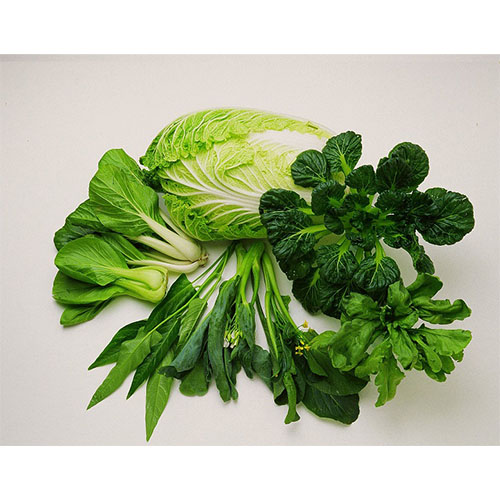 Rau cải các loại